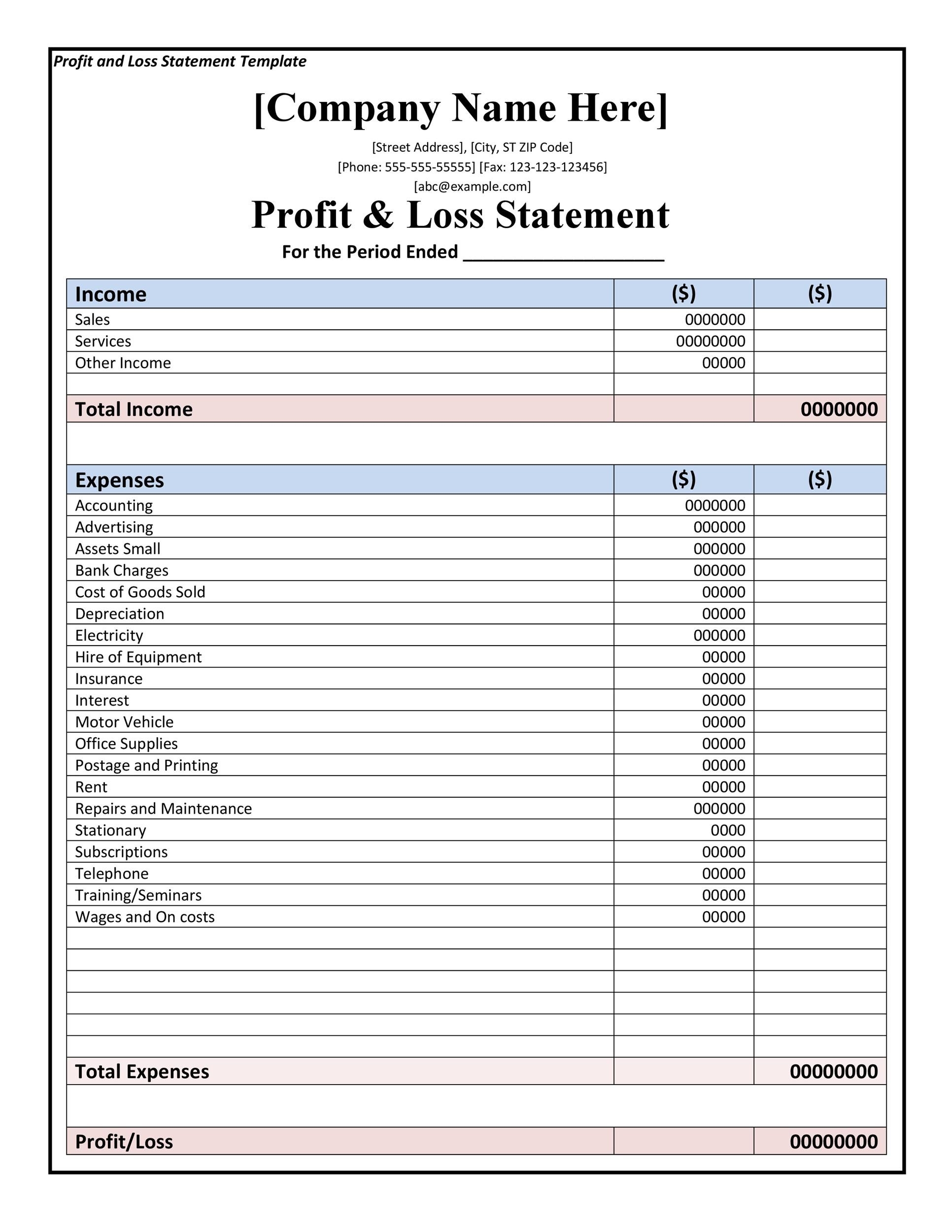 profit and loss statement form