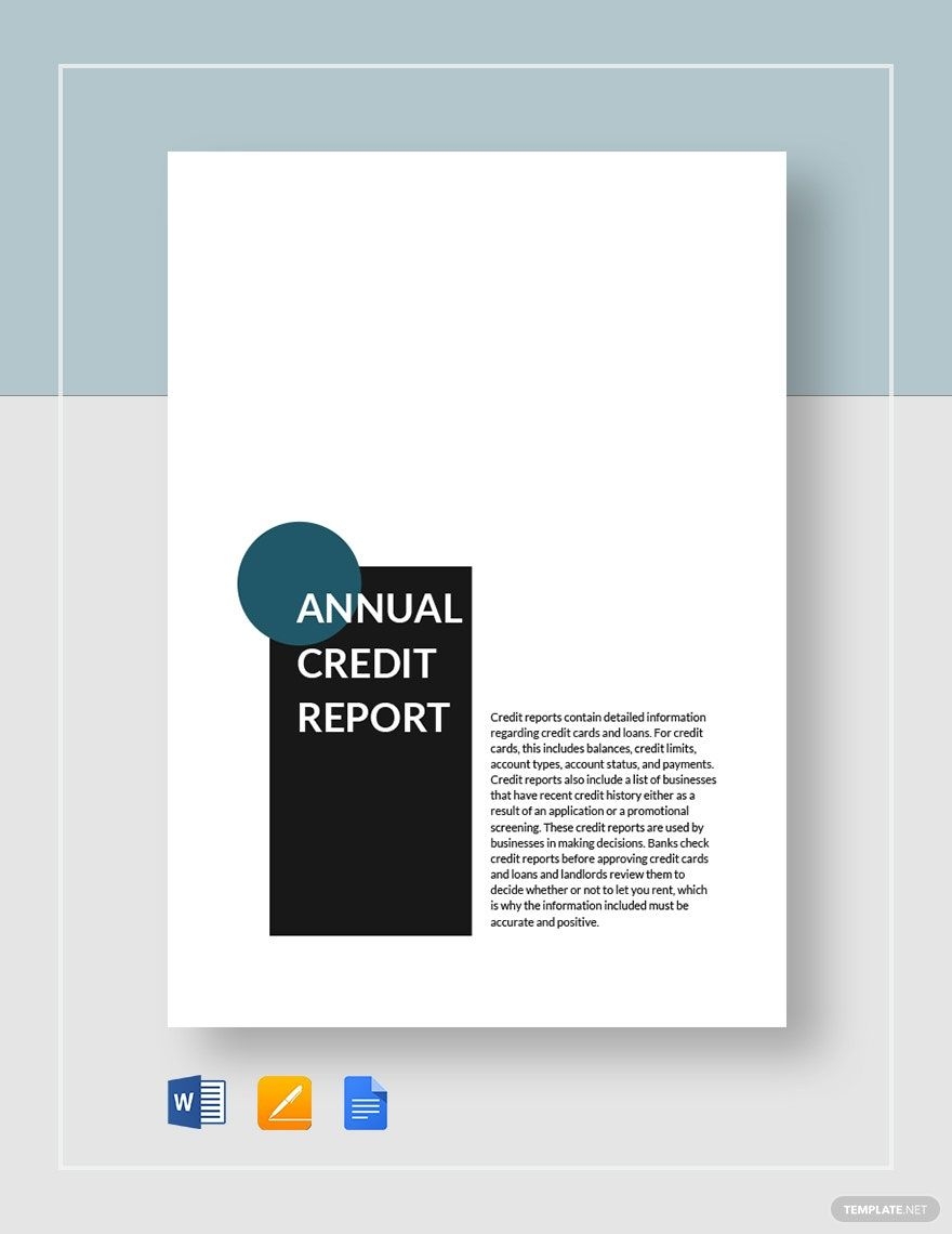 Annual Credit Report Form Template In Google Docs Pages Word Download Template