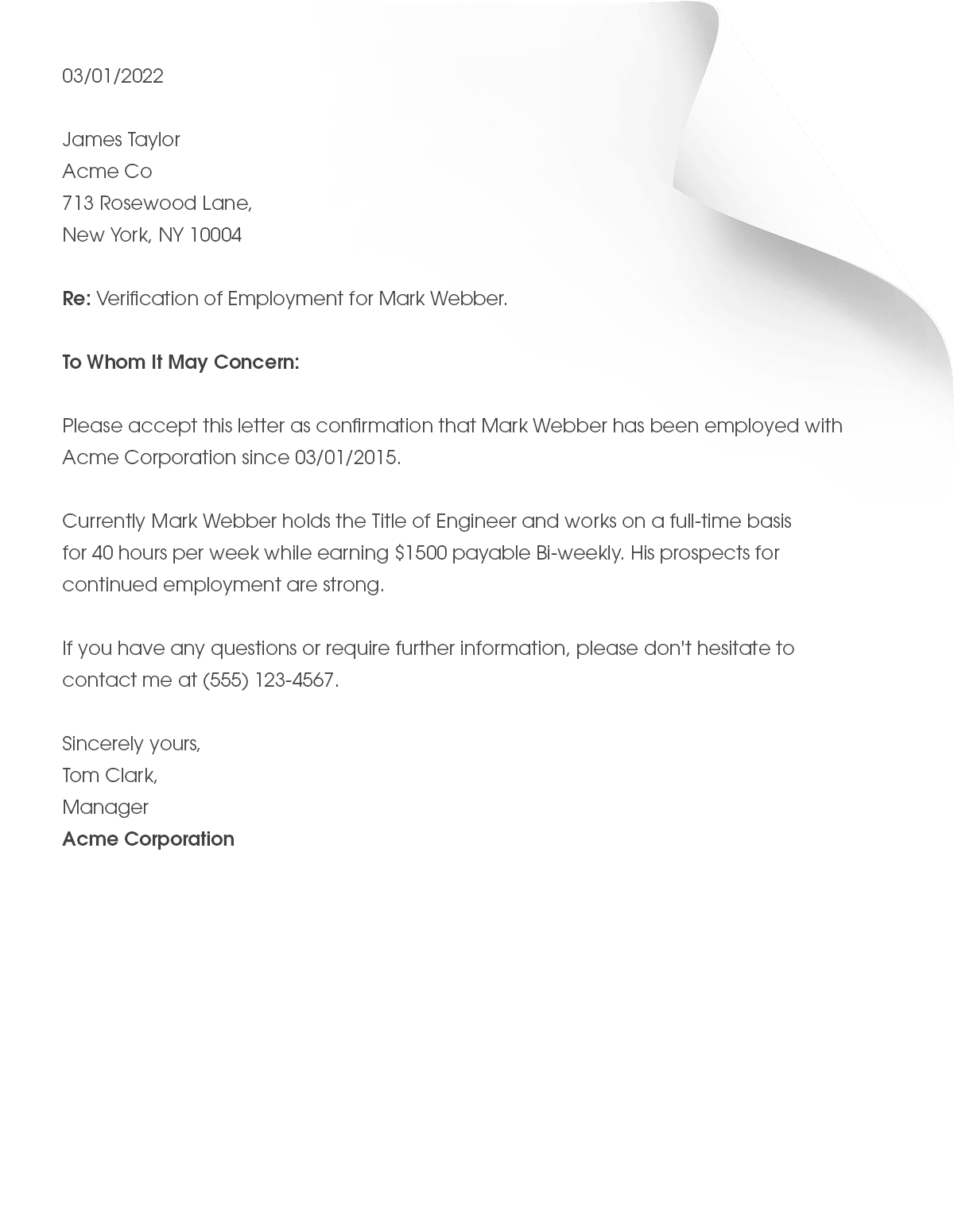 Employment Verification Letter Form Pros