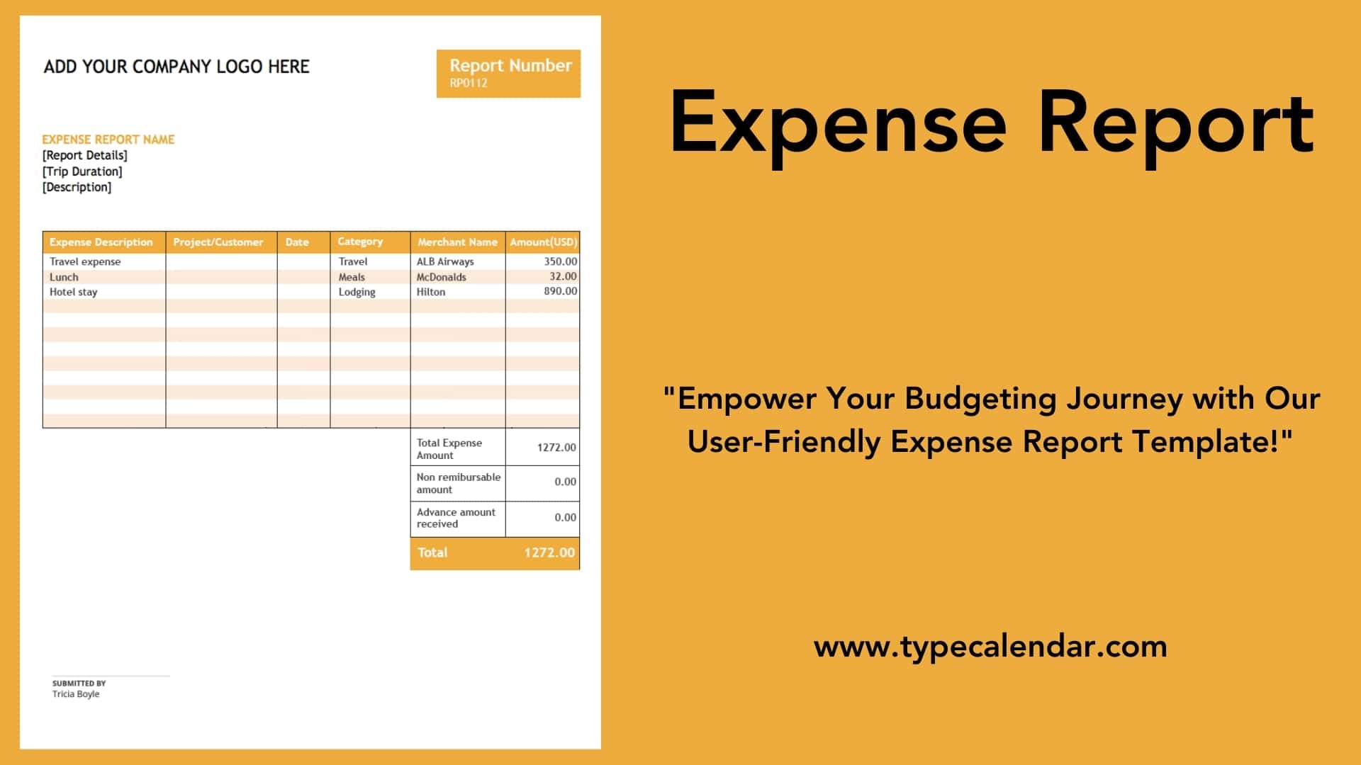 expense report expense report