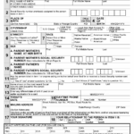 How To Fill Out Form SS 5 Social Security Card Application Online GOV 