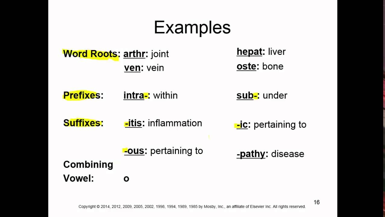 Identify And Define The Four Word Parts And Combing Form YouTube