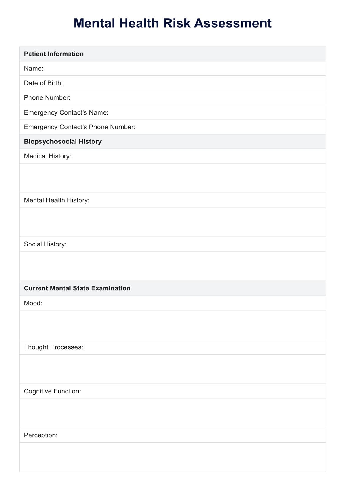 Mental Health Risk Assessment Example Free PDF Download
