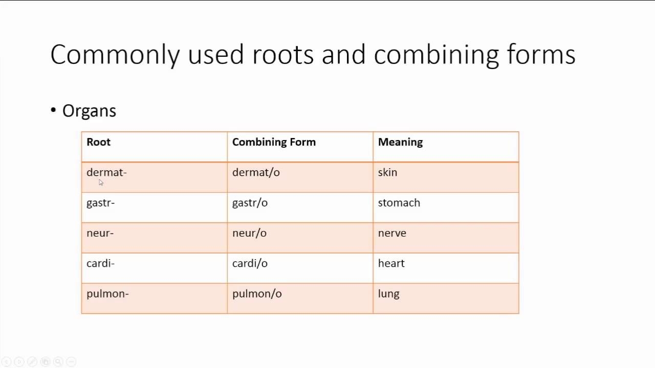 Open Campus Medical Terminology Module 3 Roots And Combining Forms YouTube