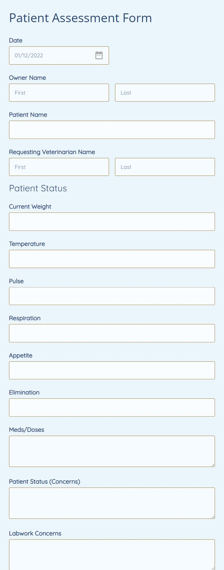 Patient Assessment Form Template 123FormBuilder Patient Assessment Form Template 123FormBuilder