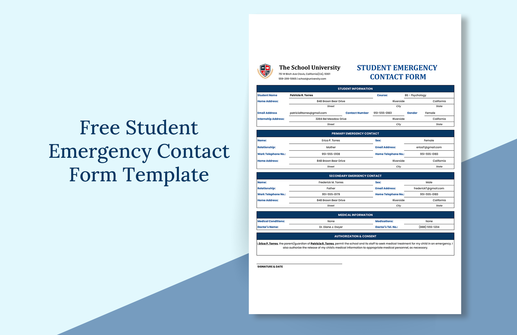 Student Emergency Contact Form Template In Google Sheets Excel Download Template