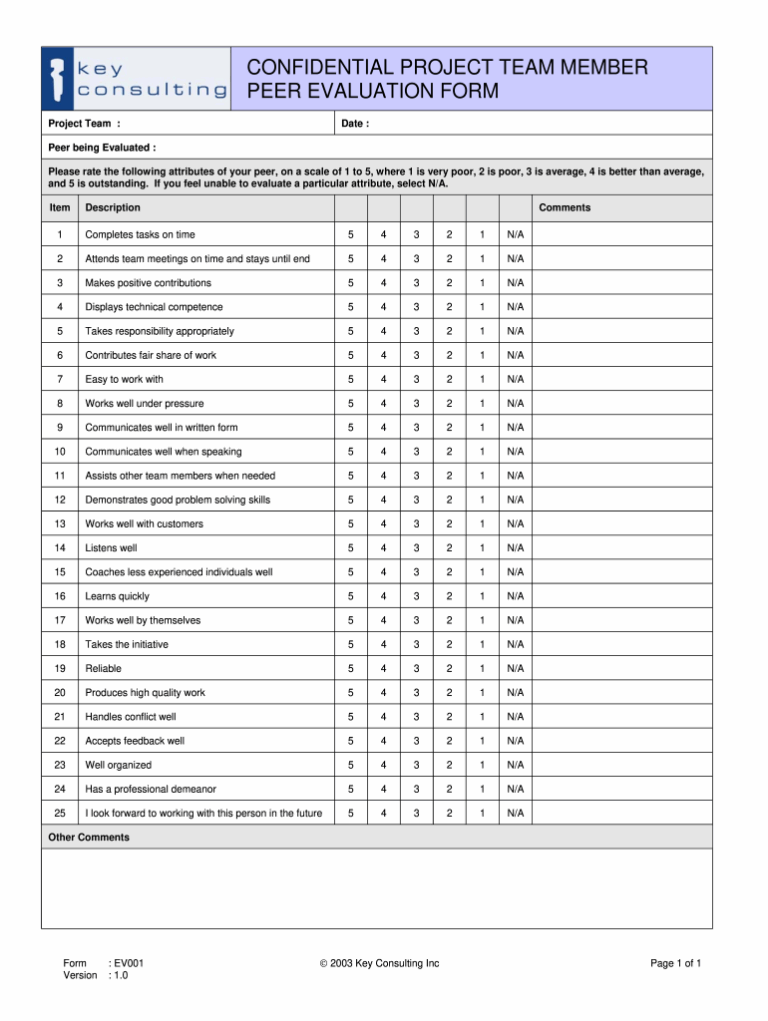 Team Evaluation Form Template Fill Out Sign Online DocHub
